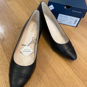 New Cole Haan block heel pump